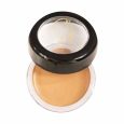Picture Perfect Foundation